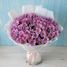 Букет цветов из:  Хризантемы в Октябрьском Ульяновской области