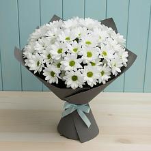 Букет цветов из:  Хризантемы в Октябрьском Ульяновской области