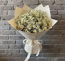 Букет цветов из:  Ромашки #REPLACE_PRED# Октябрьском Ульяновской области