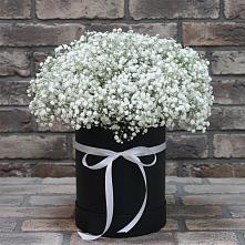 Цветочная композиция из Гипсофила в шляпной коробке в Октябрьском Ульяновской области
