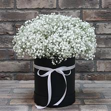 Цветочная композиция из Гипсофила в шляпной коробке в Октябрьском Ульяновской области