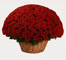 Премиум букет из: Розы в Октябрьском Ульяновской области