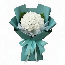 Букет цветов из:  Гортензия #REPLACE_PRED# Октябрьском Ульяновской области